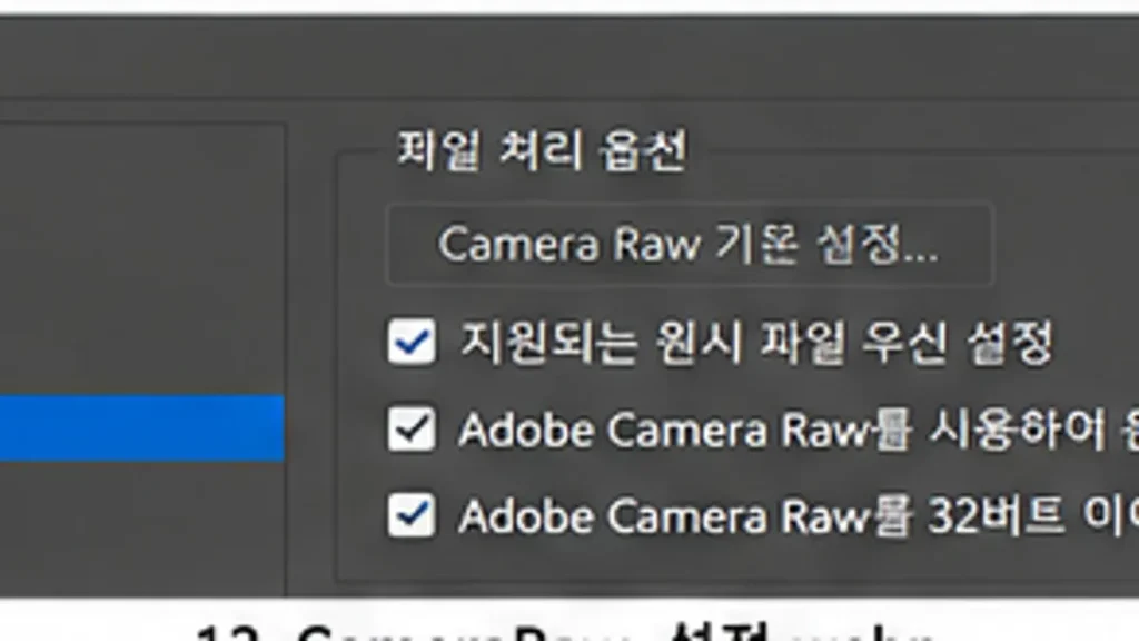 포토샵 27.7 업데이트 오류 206 해결|APSB26-130 방화벽·DNS·롤백 9 포토샵 환경설정 Camera Raw 파일 처리 옵션 설정 화면 예시