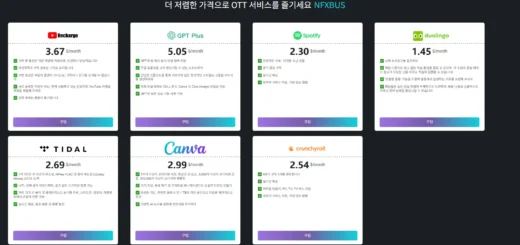 NFXBUS 사용 후기 – 넷플릭스 유튜브 ChatGPT 저렴하고 합법적으로 즐기는 법