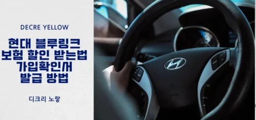 현대 블루링크 보험 할인 받는법가입확인서 발급 방법